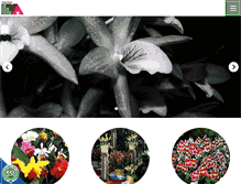 Tablet Screenshot of orquideaseva.com